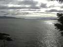 ./images/koeye/fitz-hugh/20210528/fitz-hugh20210528_180002.jpg