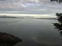 ./images/koeye/fitz-hugh/20210529/fitz-hugh20210529_080002.jpg