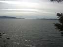 ./images/koeye/fitz-hugh/20210529/fitz-hugh20210529_160001.jpg