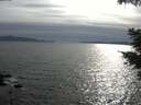 ./images/koeye/fitz-hugh/20210529/fitz-hugh20210529_180002.jpg