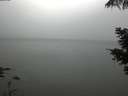 ./images/koeye/fitz-hugh/20210530/fitz-hugh20210530_060002.jpg