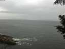 ./images/koeye/fitz-hugh/20210530/fitz-hugh20210530_080002.jpg