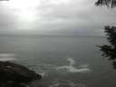 ./images/koeye/fitz-hugh/20210530/fitz-hugh20210530_100001.jpg