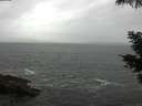 ./images/koeye/fitz-hugh/20210530/fitz-hugh20210530_140002.jpg