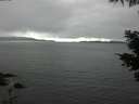 ./images/koeye/fitz-hugh/20210530/fitz-hugh20210530_160001.jpg