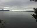 ./images/koeye/fitz-hugh/20210530/fitz-hugh20210530_180002.jpg