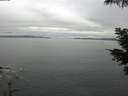 ./images/koeye/fitz-hugh/20210531/fitz-hugh20210531_060002.jpg