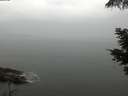./images/koeye/fitz-hugh/20210531/fitz-hugh20210531_080002.jpg