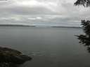 ./images/koeye/fitz-hugh/20210531/fitz-hugh20210531_100001.jpg