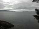 ./images/koeye/fitz-hugh/20210531/fitz-hugh20210531_120002.jpg