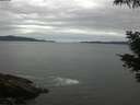 ./images/koeye/fitz-hugh/20210531/fitz-hugh20210531_140002.jpg