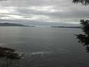 ./images/koeye/fitz-hugh/20210531/fitz-hugh20210531_160001.jpg