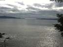 ./images/koeye/fitz-hugh/20210531/fitz-hugh20210531_180002.jpg