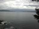 ./images/koeye/fitz-hugh/20210601/fitz-hugh20210601_080002.jpg