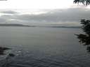 ./images/koeye/fitz-hugh/20210602/fitz-hugh20210602_060002.jpg