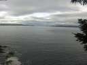 ./images/koeye/fitz-hugh/20210602/fitz-hugh20210602_080001.jpg