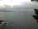 ./images/koeye/fitz-hugh/20210603/fitz-hugh20210603_080002.jpg