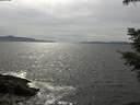 ./images/koeye/fitz-hugh/20210603/fitz-hugh20210603_160001.jpg
