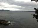 ./images/koeye/fitz-hugh/20210604/fitz-hugh20210604_060001.jpg