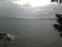 ./images/koeye/fitz-hugh/20210604/fitz-hugh20210604_080002.jpg
