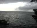 ./images/koeye/fitz-hugh/20210604/fitz-hugh20210604_180001.jpg