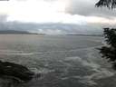 ./images/koeye/fitz-hugh/20210605/fitz-hugh20210605_060001.jpg