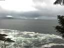 ./images/koeye/fitz-hugh/20210605/fitz-hugh20210605_080002.jpg