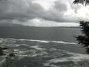 ./images/koeye/fitz-hugh/20210605/fitz-hugh20210605_100002.jpg