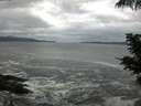 ./images/koeye/fitz-hugh/20210606/fitz-hugh20210606_080001.jpg
