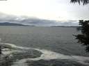 ./images/koeye/fitz-hugh/20210606/fitz-hugh20210606_120001.jpg