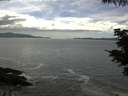 ./images/koeye/fitz-hugh/20210606/fitz-hugh20210606_160002.jpg