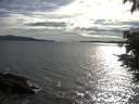 ./images/koeye/fitz-hugh/20210606/fitz-hugh20210606_180001.jpg