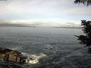./images/koeye/fitz-hugh/20210607/fitz-hugh20210607_080002.jpg
