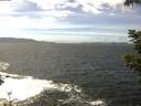 ./images/koeye/fitz-hugh/20210607/fitz-hugh20210607_140002.jpg