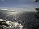 ./images/koeye/fitz-hugh/20210607/fitz-hugh20210607_160001.jpg