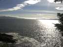 ./images/koeye/fitz-hugh/20210607/fitz-hugh20210607_180002.jpg