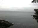 ./images/koeye/fitz-hugh/20210608/fitz-hugh20210608_060001.jpg