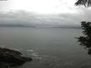 ./images/koeye/fitz-hugh/20210608/fitz-hugh20210608_080002.jpg