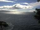 ./images/koeye/fitz-hugh/20210608/fitz-hugh20210608_160002.jpg