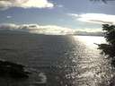 ./images/koeye/fitz-hugh/20210608/fitz-hugh20210608_180001.jpg
