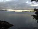 ./images/koeye/fitz-hugh/20210609/fitz-hugh20210609_060001.jpg