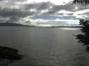 ./images/koeye/fitz-hugh/20210609/fitz-hugh20210609_180001.jpg