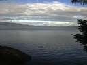 ./images/koeye/fitz-hugh/20210610/fitz-hugh20210610_080001.jpg