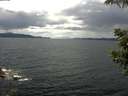 ./images/koeye/fitz-hugh/20210610/fitz-hugh20210610_140001.jpg
