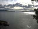 ./images/koeye/fitz-hugh/20210610/fitz-hugh20210610_180001.jpg