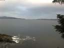 ./images/koeye/fitz-hugh/20210612/fitz-hugh20210612_060002.jpg