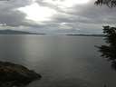 ./images/koeye/fitz-hugh/20210612/fitz-hugh20210612_080001.jpg
