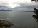 ./images/koeye/fitz-hugh/20210612/fitz-hugh20210612_100002.jpg