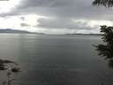 ./images/koeye/fitz-hugh/20210612/fitz-hugh20210612_140001.jpg