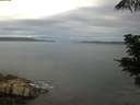 ./images/koeye/fitz-hugh/20210613/fitz-hugh20210613_080002.jpg